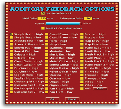 Auditory Feedback Options